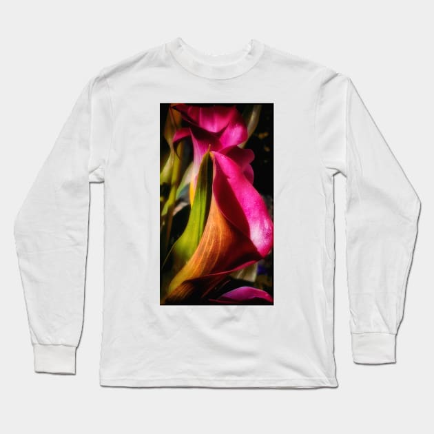 Calla Lily In Bloom Long Sleeve T-Shirt by JimDeFazioPhotography